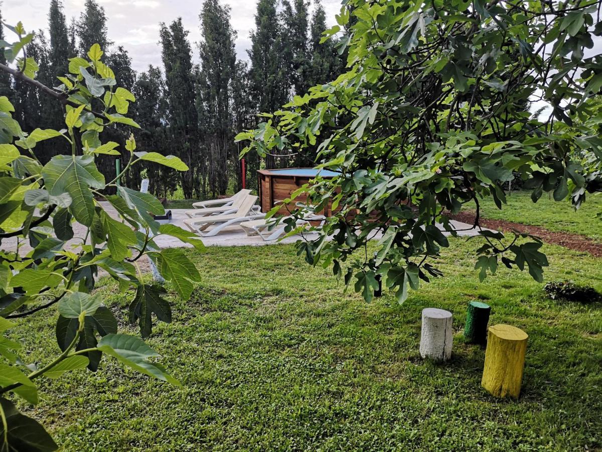 Can Resiu Seriñá Dış mekan fotoğraf